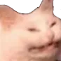 muaw