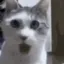 shocked