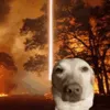 goodbye