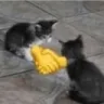 shakehands