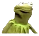 Kermit_frog