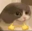 Clever_uwu Clever_uwu