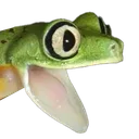 pogefroge