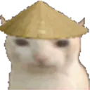 xiadohat