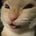 NYEHEHHEHJEHH