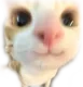 33 33