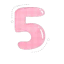 66373pink5