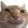 maybemeower maybemeower