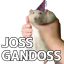 JossGandoss