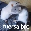 LcoYoAbrazandoElServerAntesQueLo Discord emoji