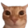 _goobertea Discord emoji