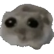 PweaseElvyn