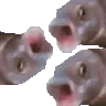 OOOOOOOOOOOO OOOOOOOOOOOO