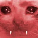 SadCat