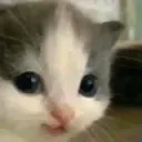 hehe