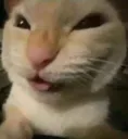 high
