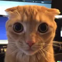 0178ce1ad5de9e64be9447d165f1292f