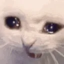 nopls