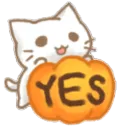 cat_yes