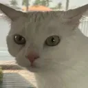 mochierm
