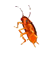 FakeNitroEmoji