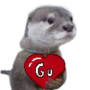 gu_with_a_heart gu_with_a_heart