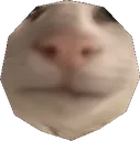 dodecahedronald