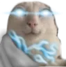 zeusinald
