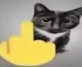 friccU