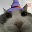 hallweewires