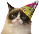 catbrithdayy
