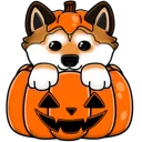 pumpkinKIMCHI