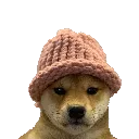 dogwifihat