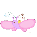 cute_pink_butterfly