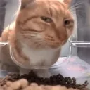 sus