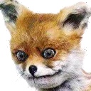 stonedfox