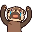 yarrWhy yarrWhy