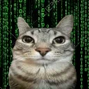 flabberhack