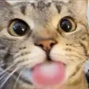 ayy