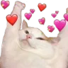 catlove catlove