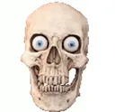hyperrealisticskullemoji