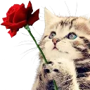 emoji_10