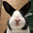 repeatthat custom emote from The Moderation & Leadership Academy & Institute [MLAI]: