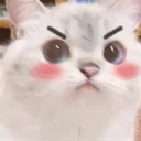 angyblushstare