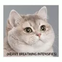heavybreath