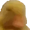SMHing