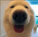 floofHappi