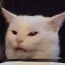 smudgecat