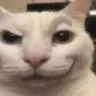 CatSmirk