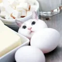 egg